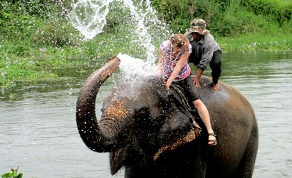Jungle Safari Tour