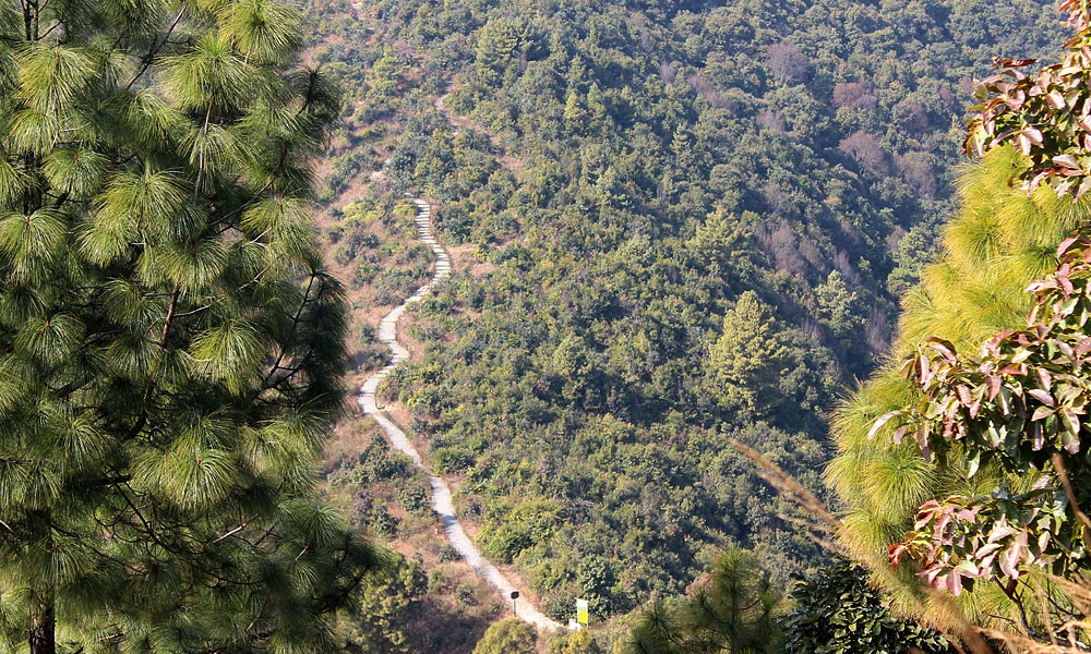 Champadevi Hiking